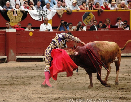a man performs a trick on a bull