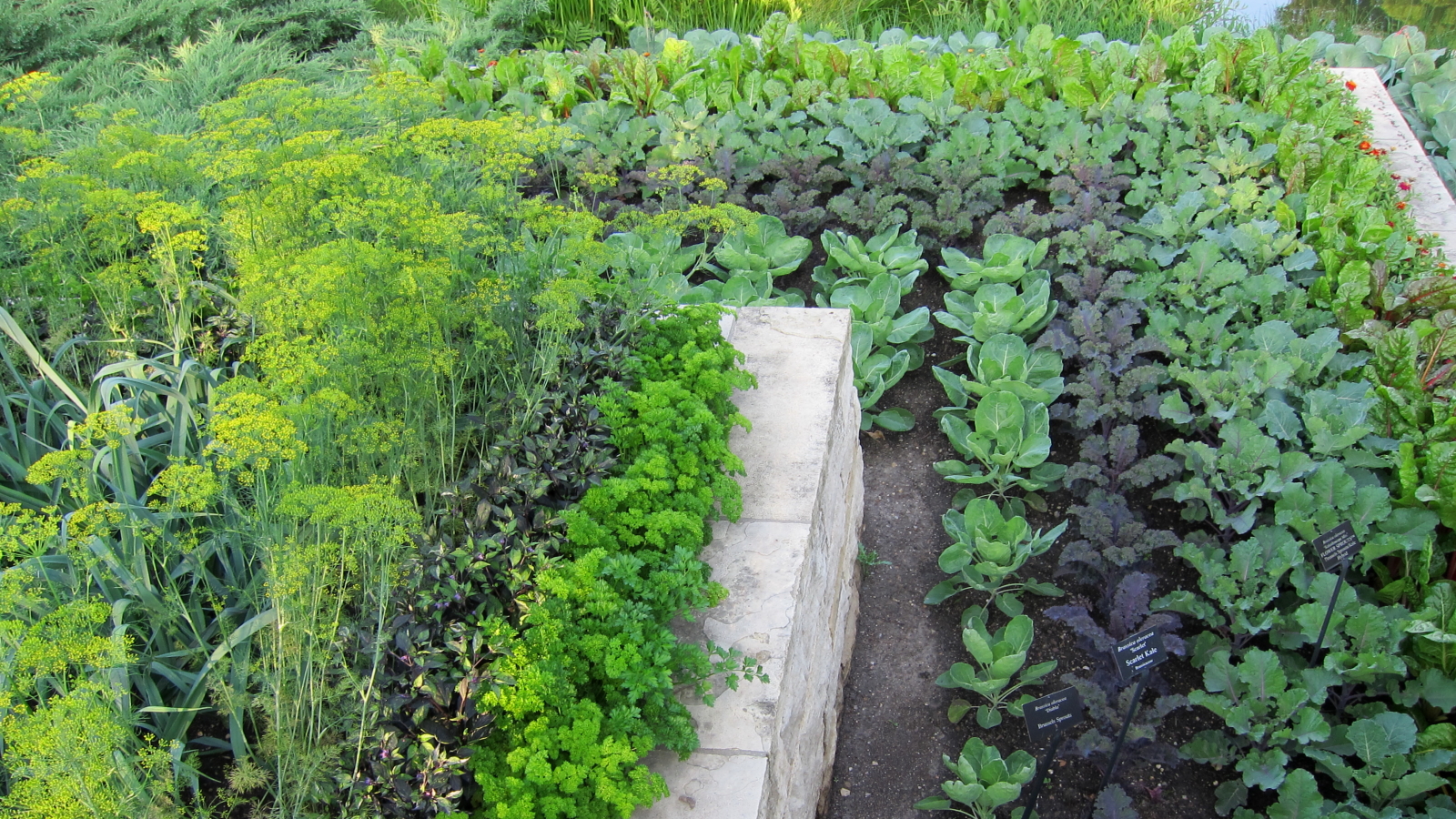 an outdoor garden area that has various varieties of plants