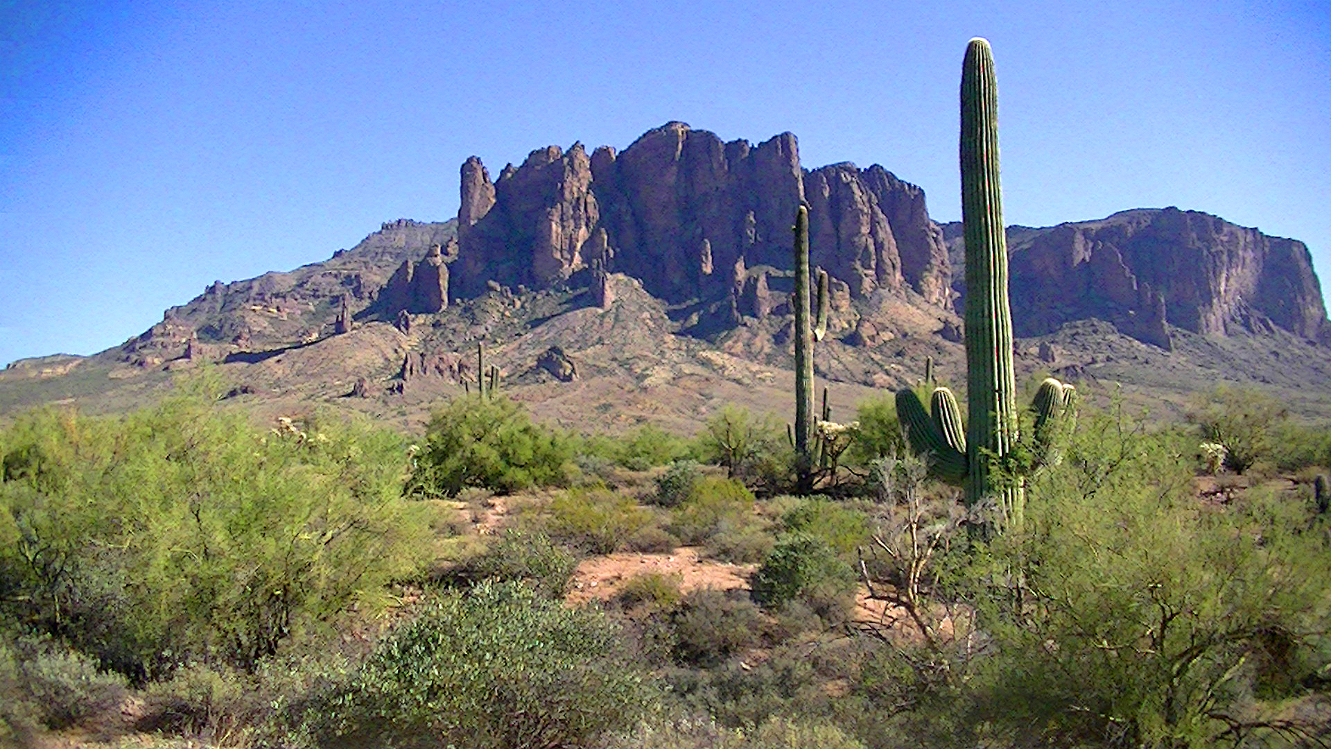 a large sagua mountain next to a cactus filled with water