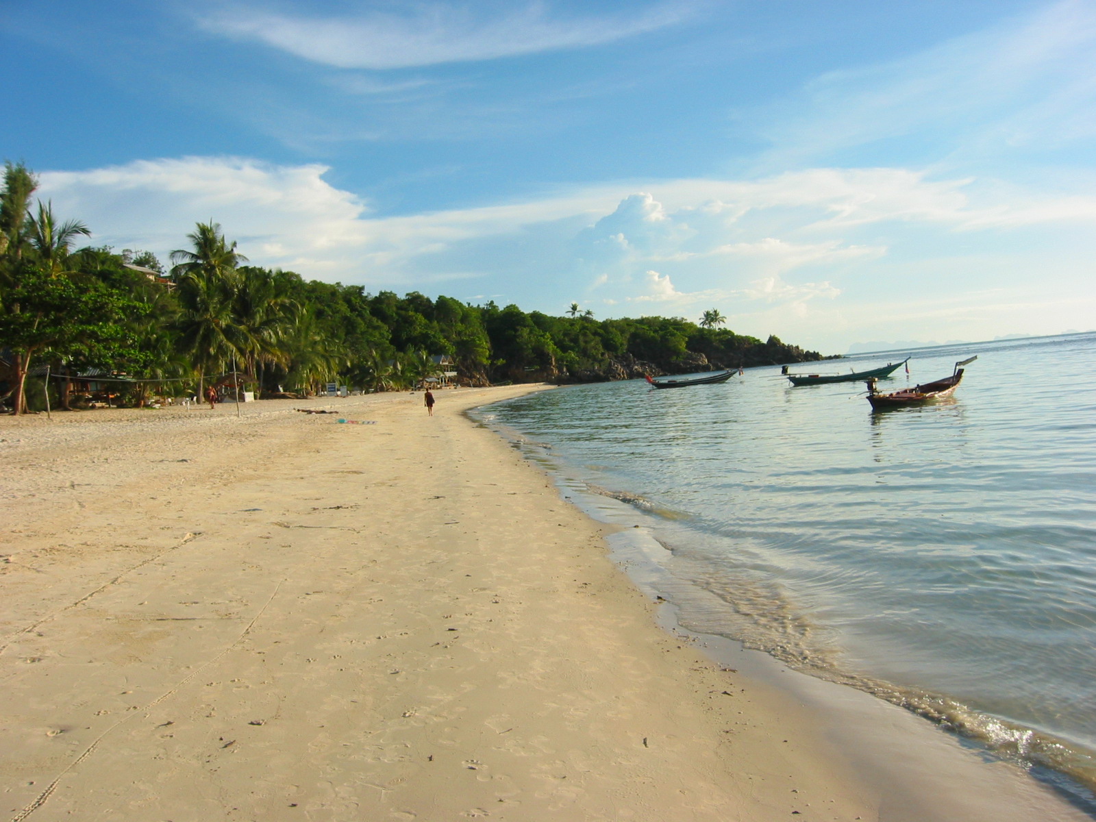 several boats are on the beach near a forest