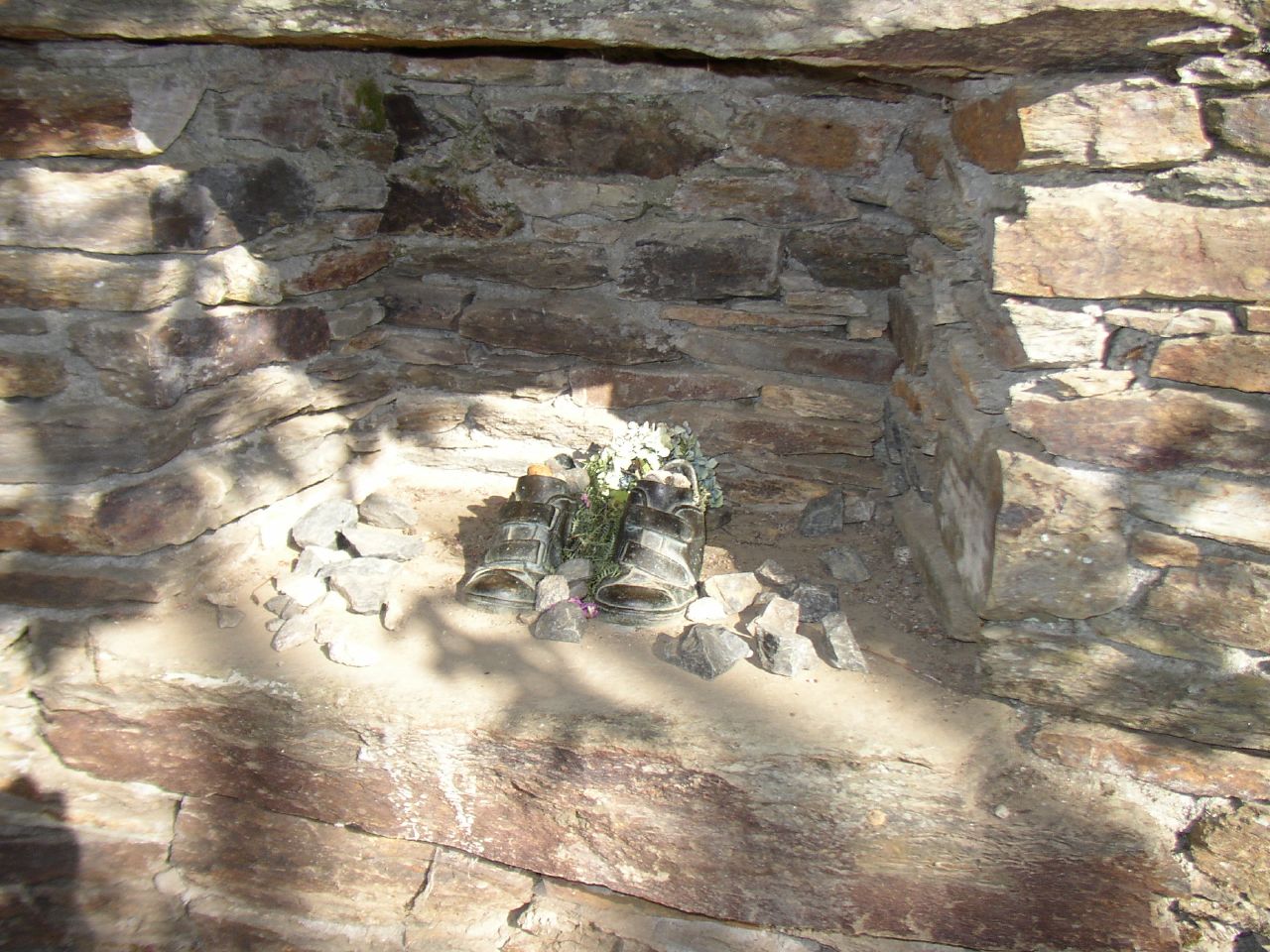 an image of a tree growing in a stone wall