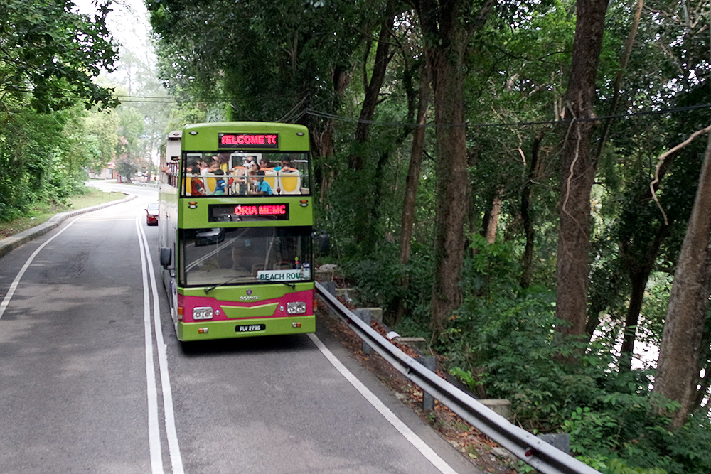 a double decker bus driving down the road by a lush green forest