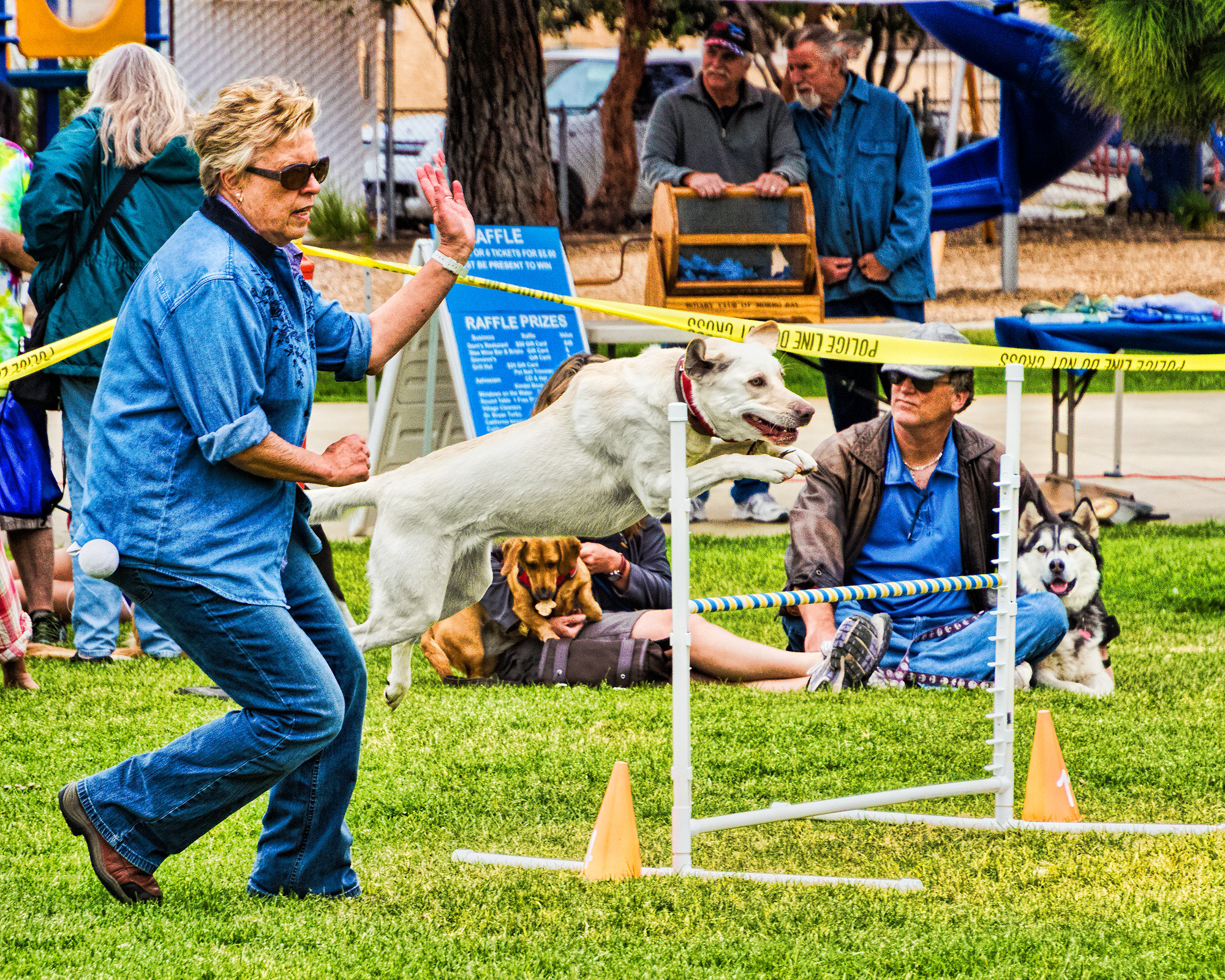 a man is holding his dog up in the air with two dogs at a dog show