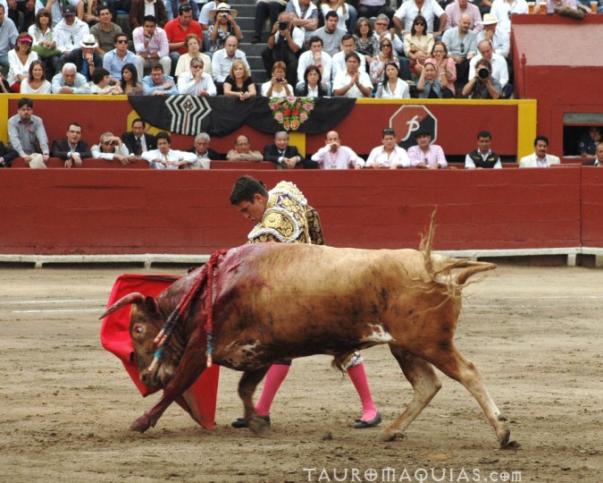 a man is on the back of a cow during a rodeo