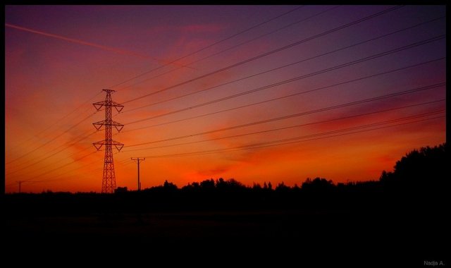 the sunsets behind power lines and trees
