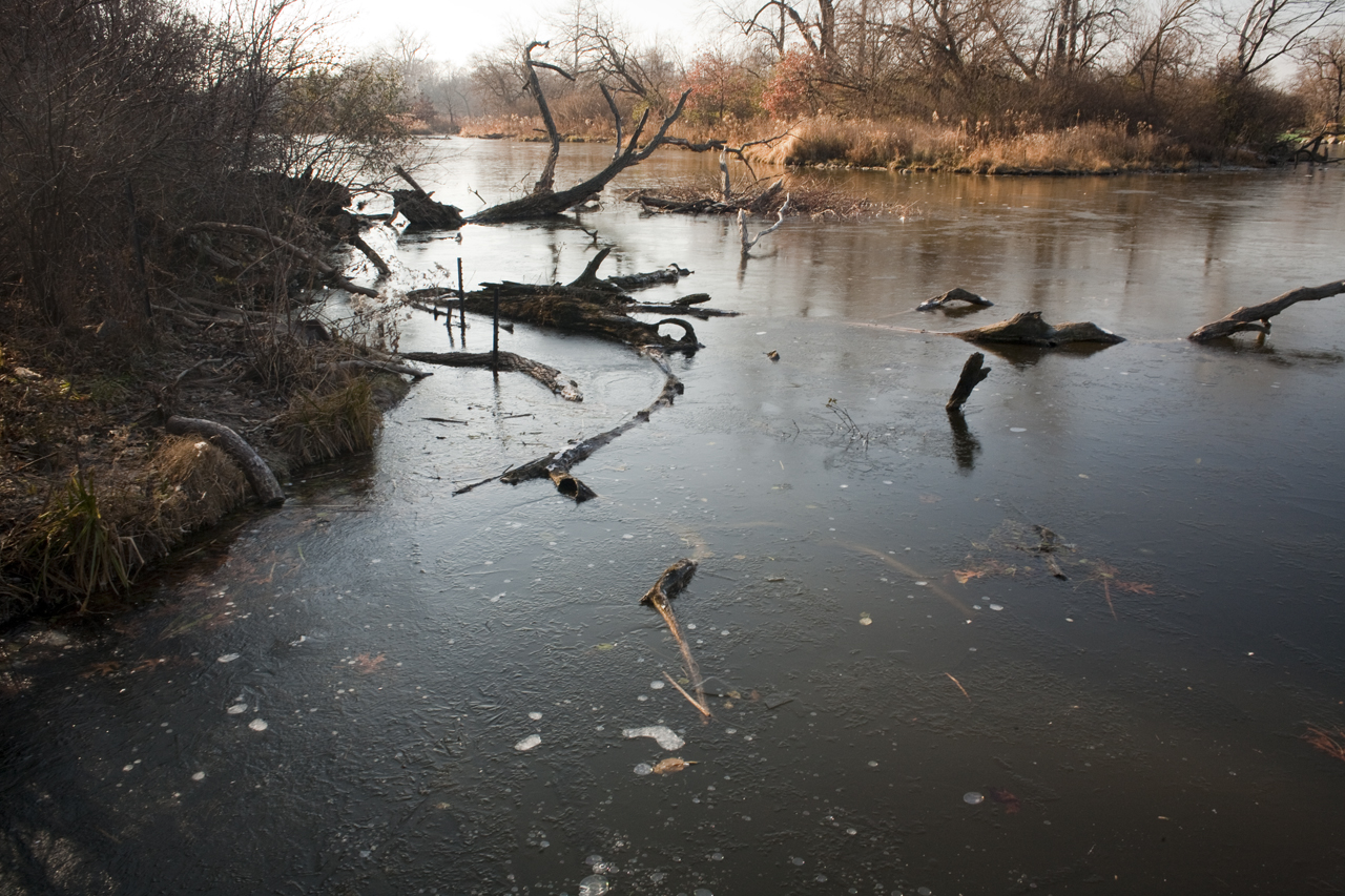 an icy river is shown with logs sticking from it