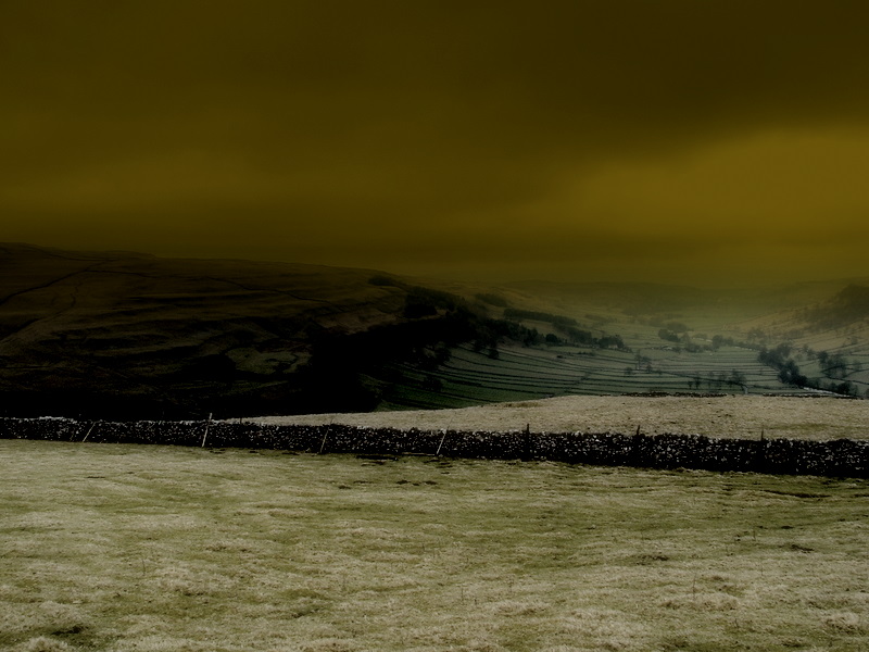 a lone white horse stands by a fence on a hill