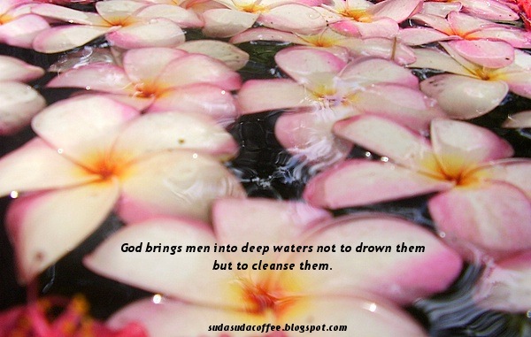 flowers on the water in the stream with a verse