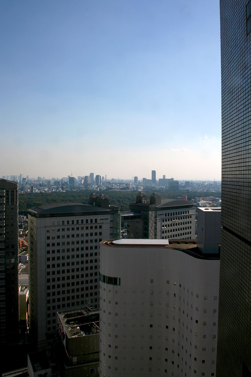 view of tall buildings looking towards the city