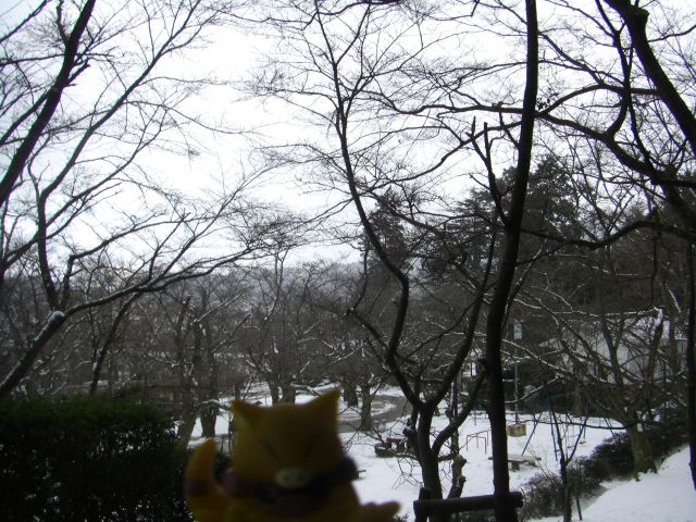 there is a yellow and brown teddy bear standing in the snow