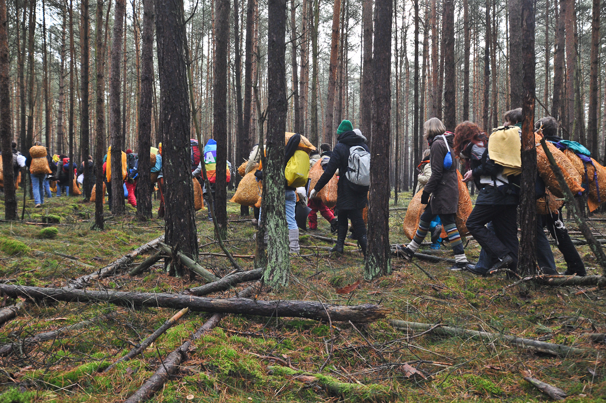 a large group of people are standing around in a forest