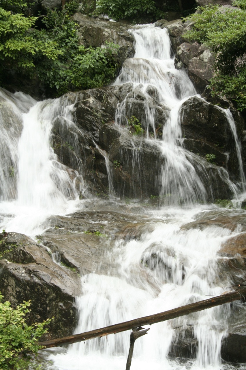 there is an image of a waterfall in the wild