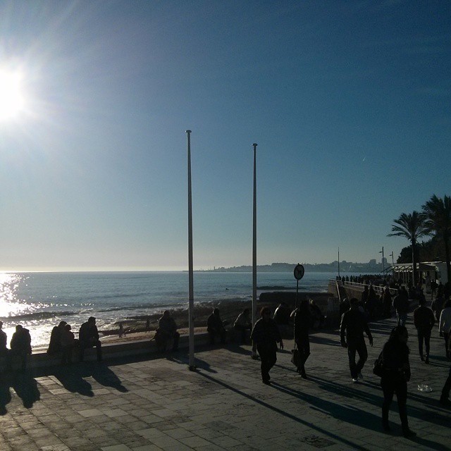 people walking in a city next to the ocean