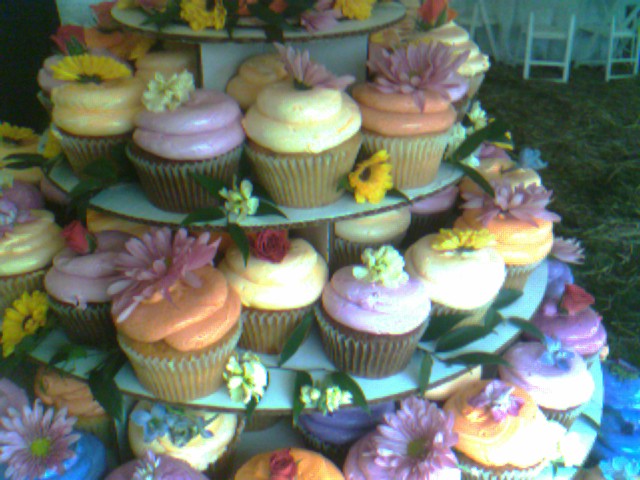 a variety of cupcakes in varying colors