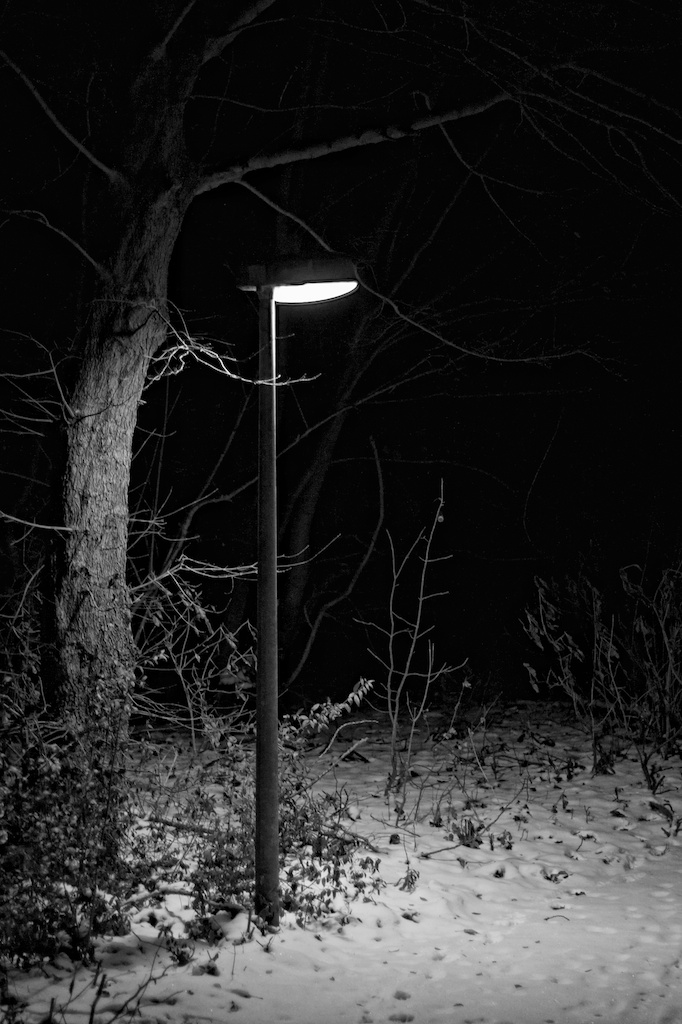 there is a street lamp on a snow covered sidewalk