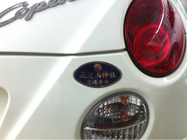 a close up s of the emblem on the rear end of a white car