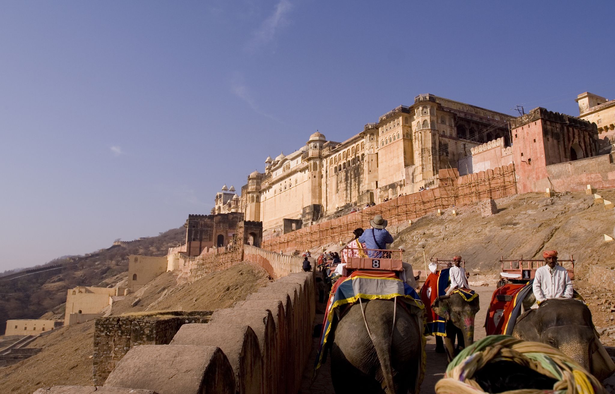 a group of people are on top of an elephant in front of some buildings