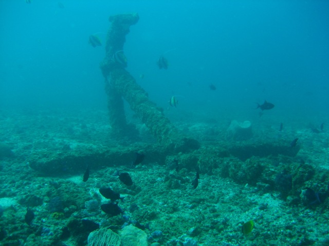 an underwater view of a sunken ship wreck