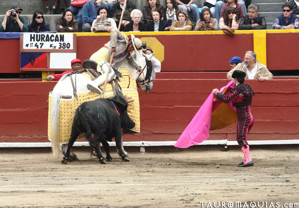 a man on a horse stands next to a bull