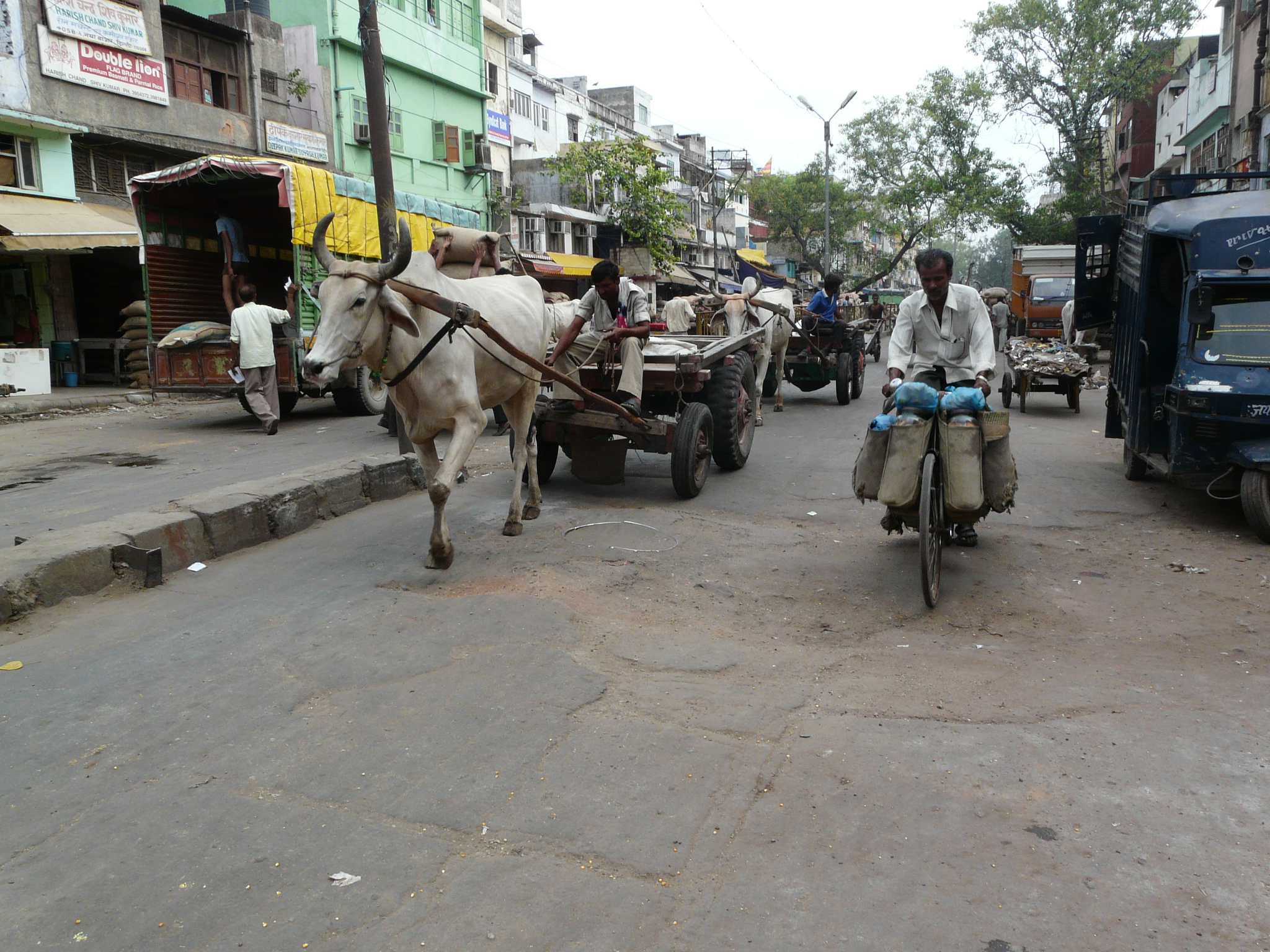 people riding on horses in the middle of the road