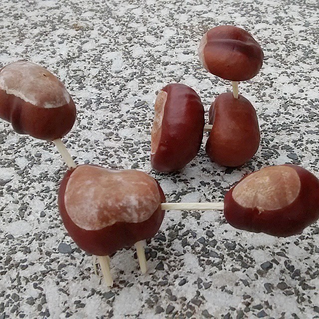 a group of marshmallows arranged on sticks