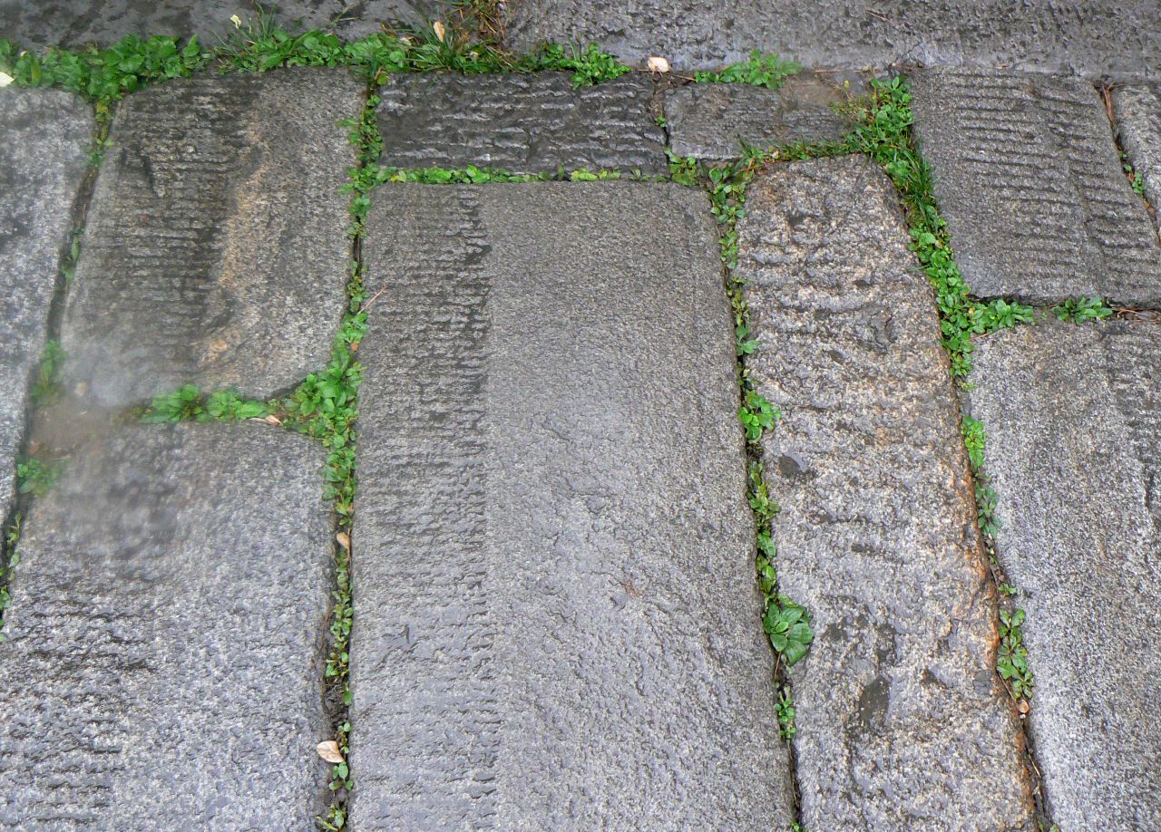 the street is paved with stone and green grass