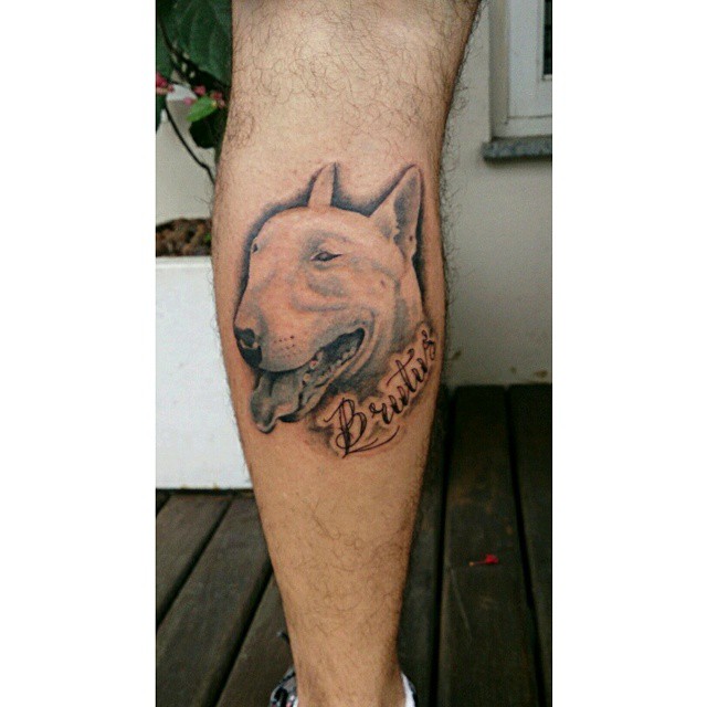a dog with the words, and a name tattooed on his leg