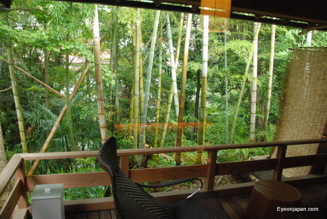 a bamboo deck in the jungle with many trees in the background