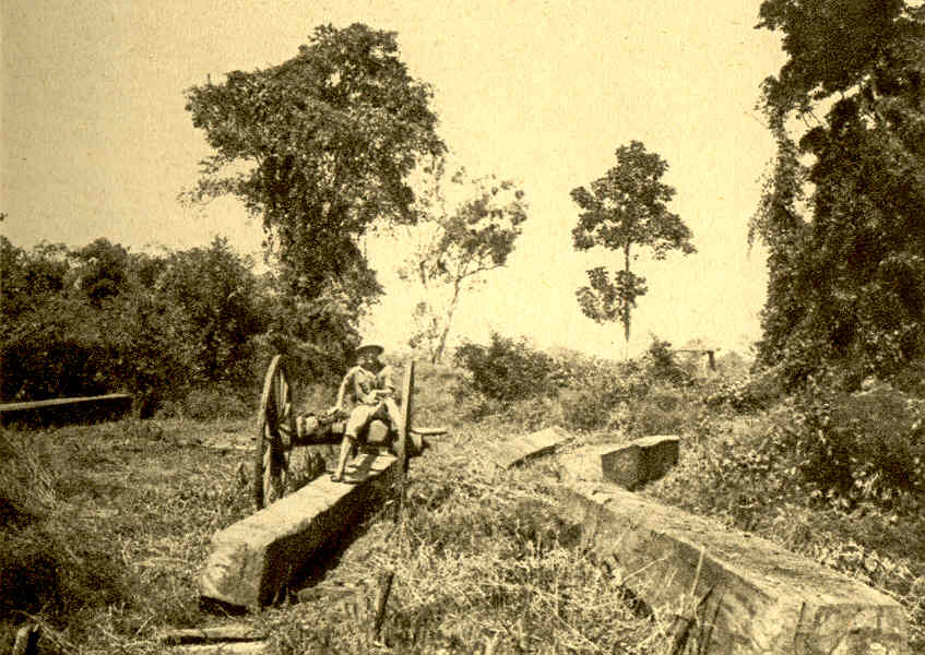 an antique po of a person in a carriage