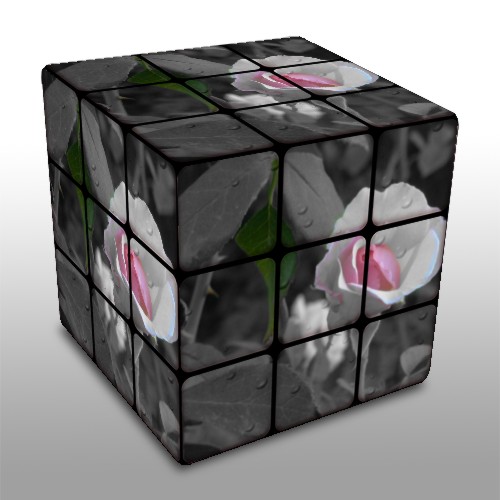 a rubo cube with pink flowers on it