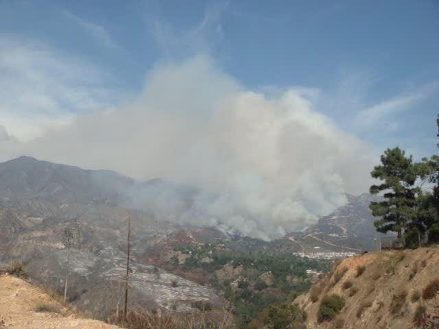 trees and bushes on the hillside covered in smoke