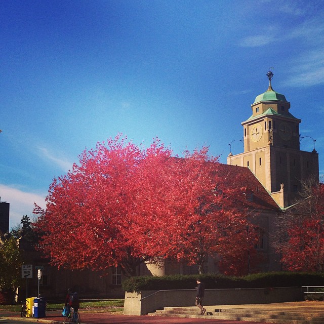 a church with colorful trees and a man walks in the background