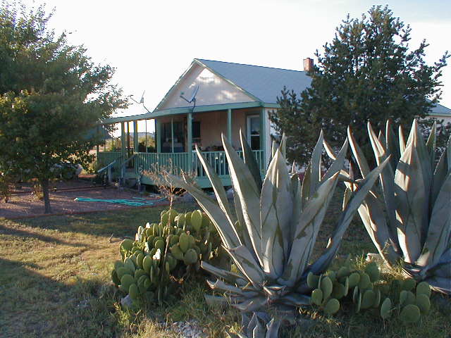 a house and some succulents in front of it