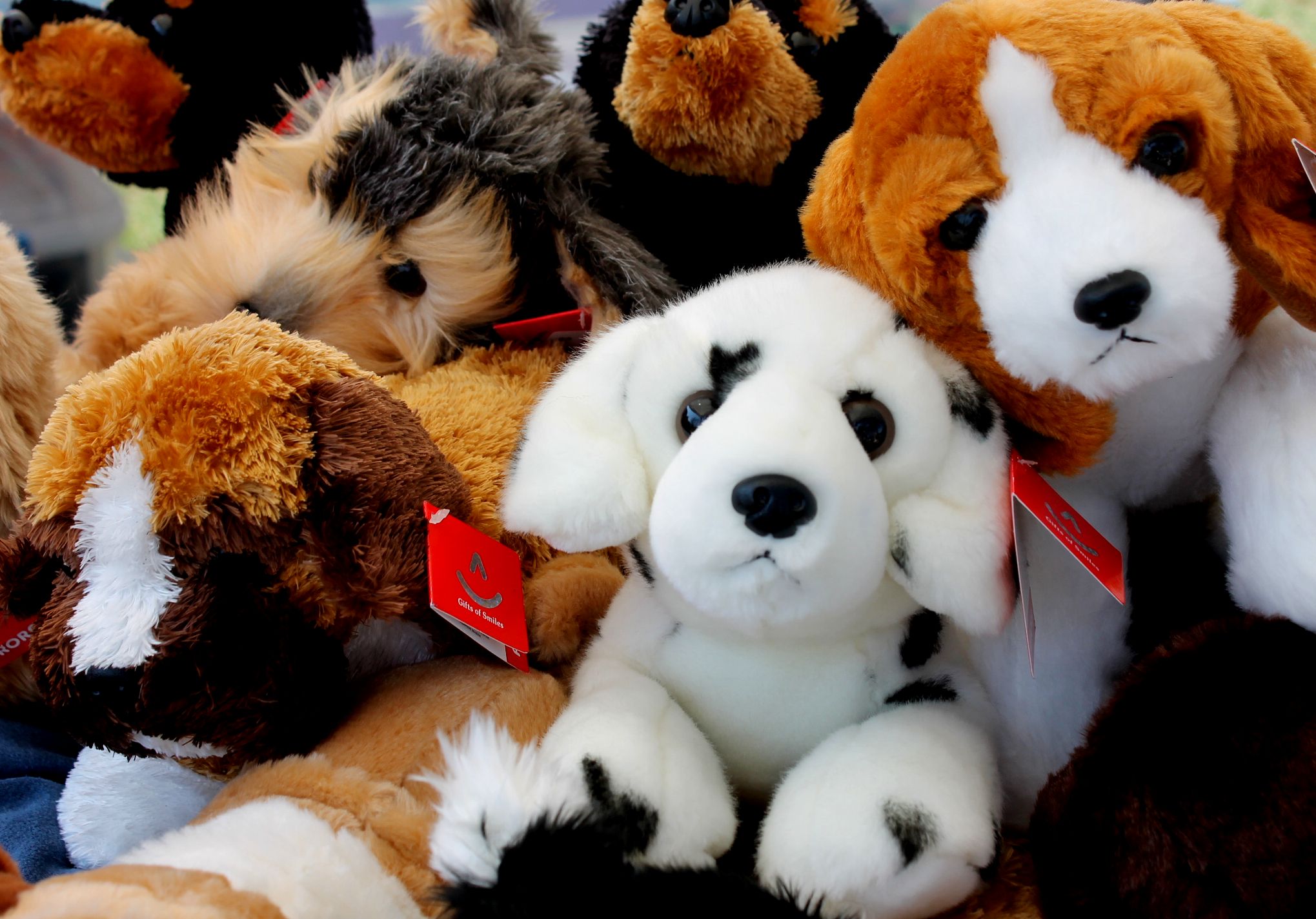 group of stuffed animals on sale for only one piece