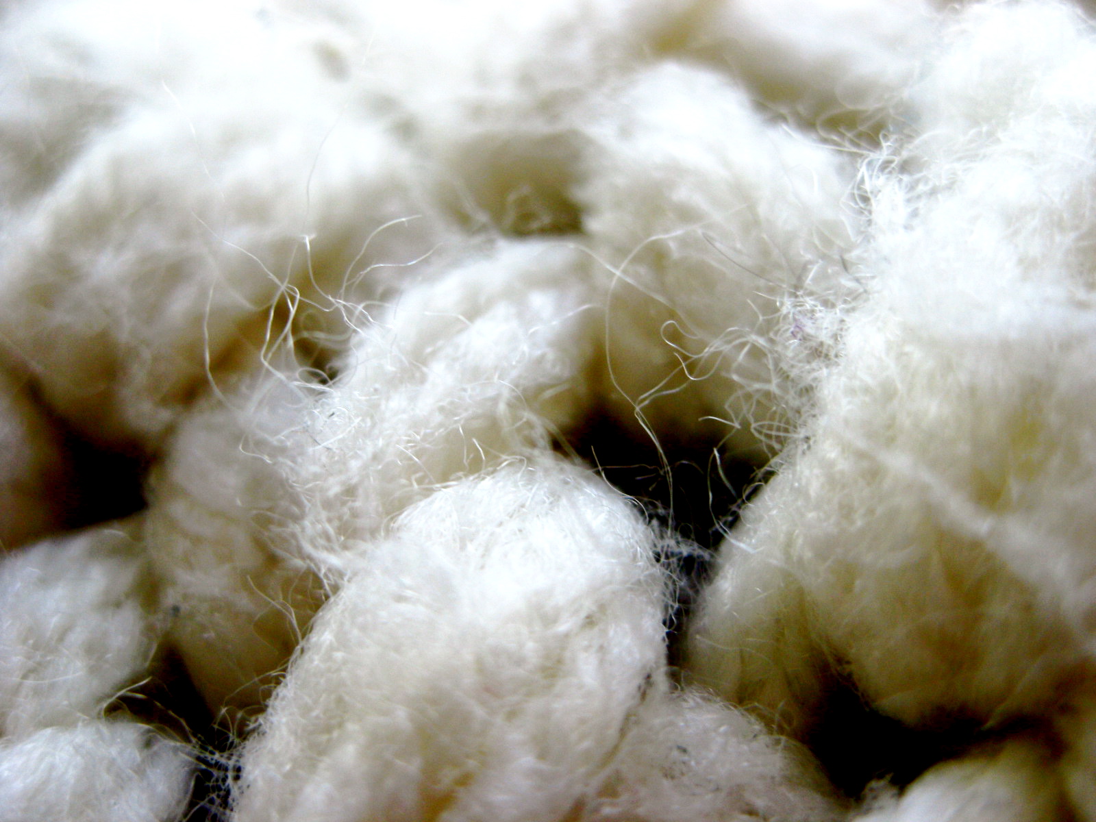 white wool from a basket, top view