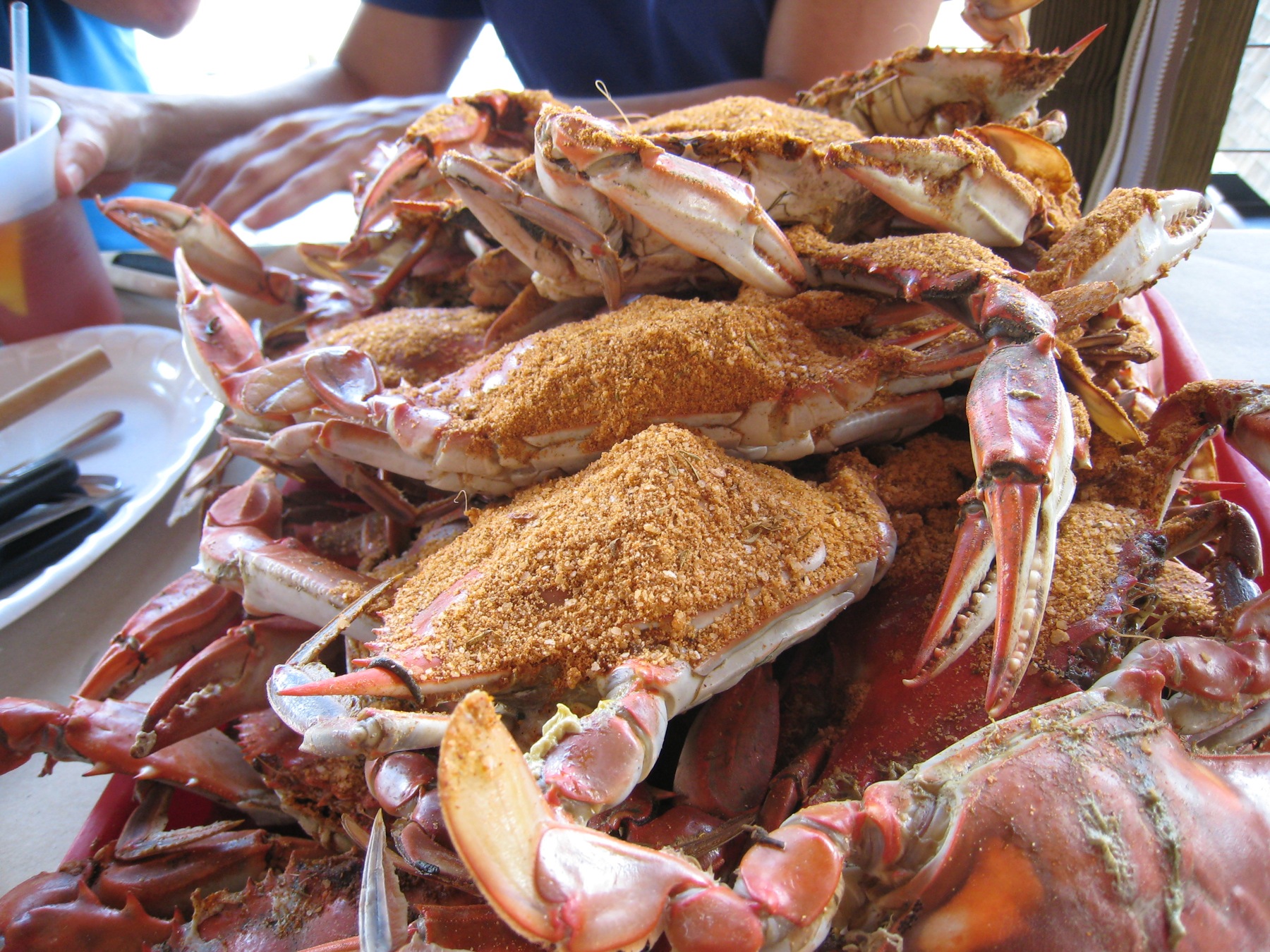 large assortment of crabs piled on top of each other