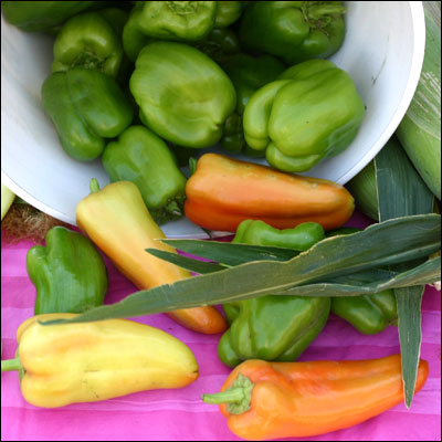 a bowl full of green peppers and orange peppers