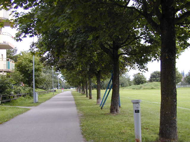 a street lined with trees and grass next to a parking meter