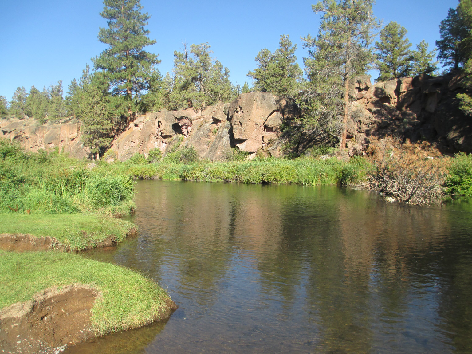 a body of water surrounded by trees and grass