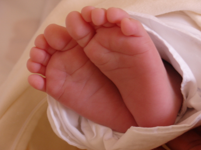 the feet of a baby under a blanket