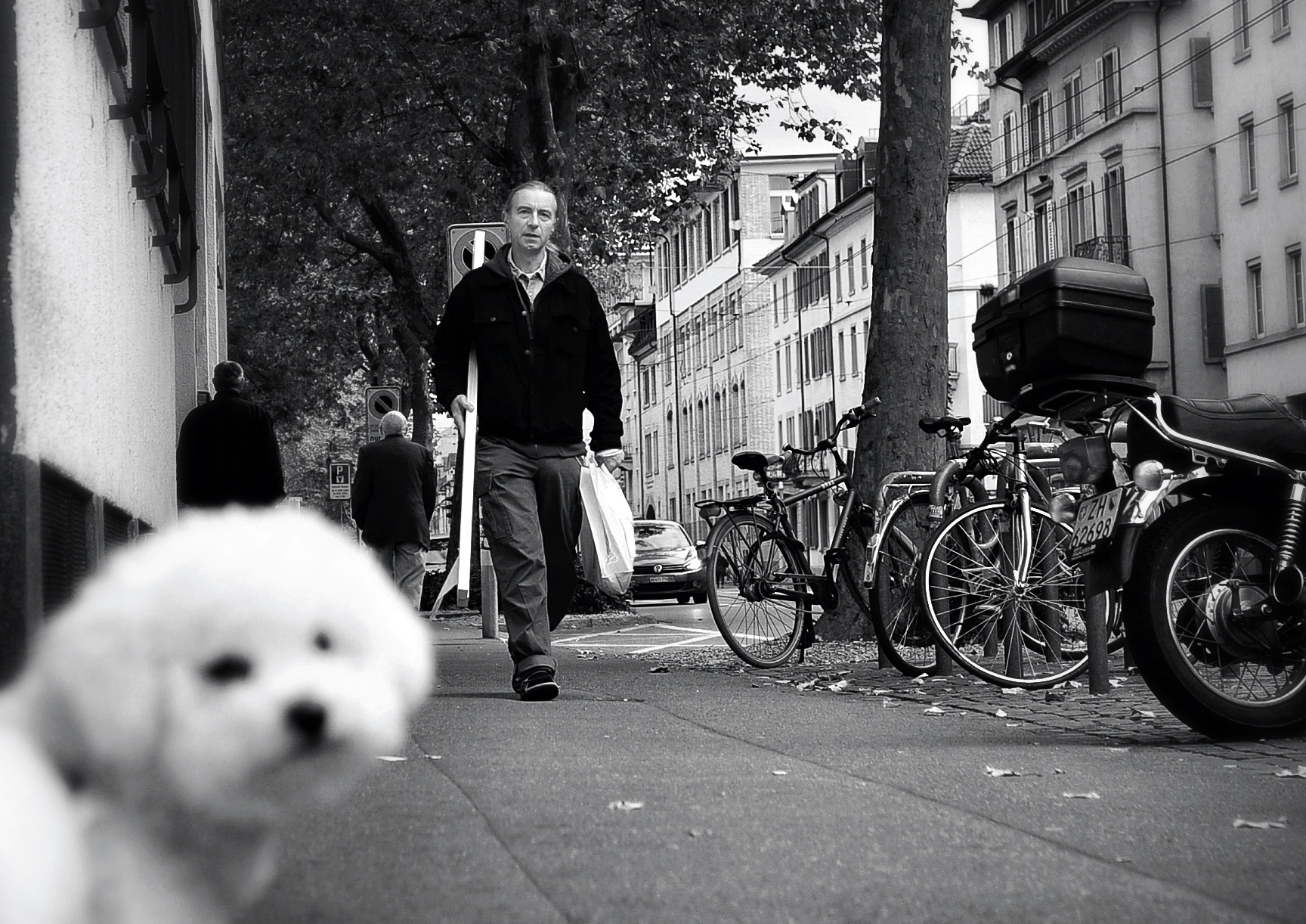 a dog on the sidewalk next to a man in black and white