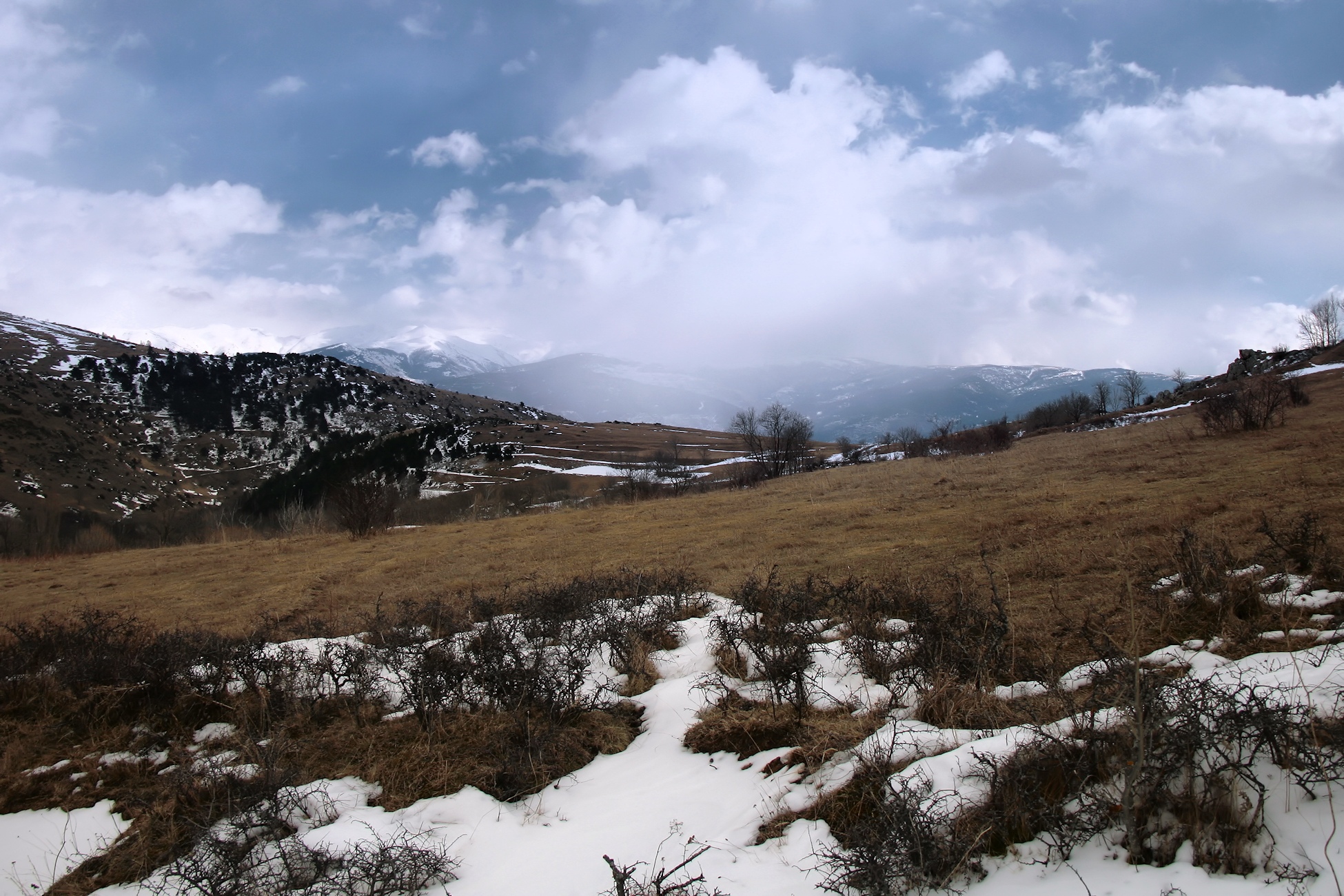 the hills in the snow are covered with trees