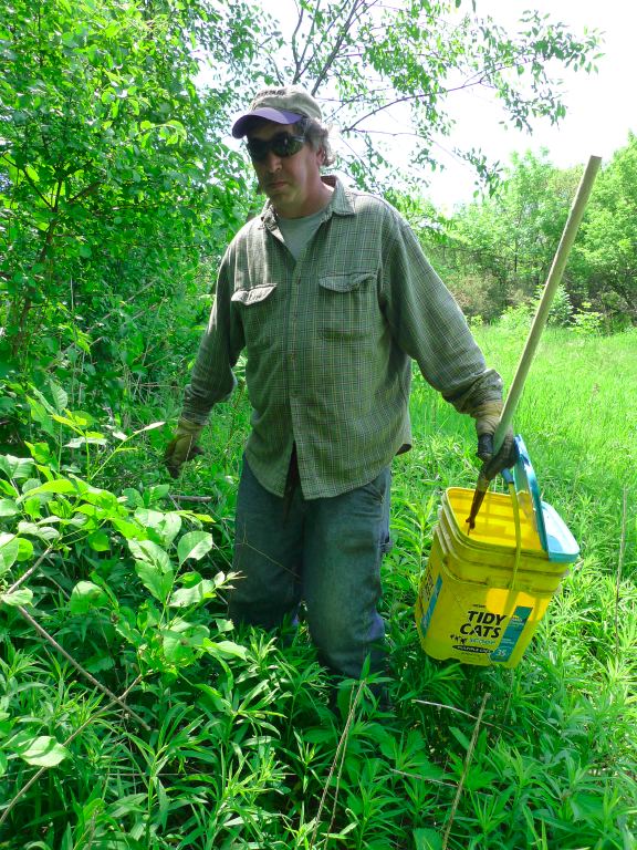 the man is picking up the weeds with his bucket