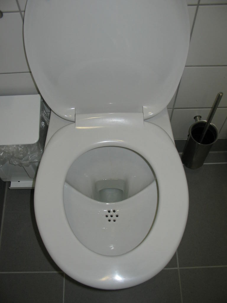 a toilet bowl in the bathroom that is closed to the floor