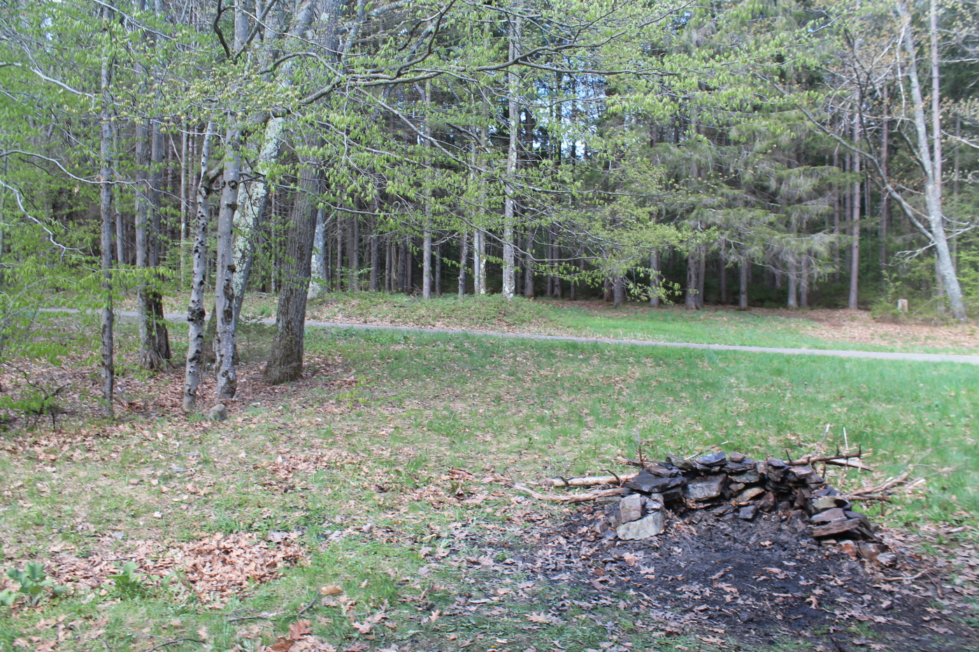 a pile of logs sitting in the middle of a green field