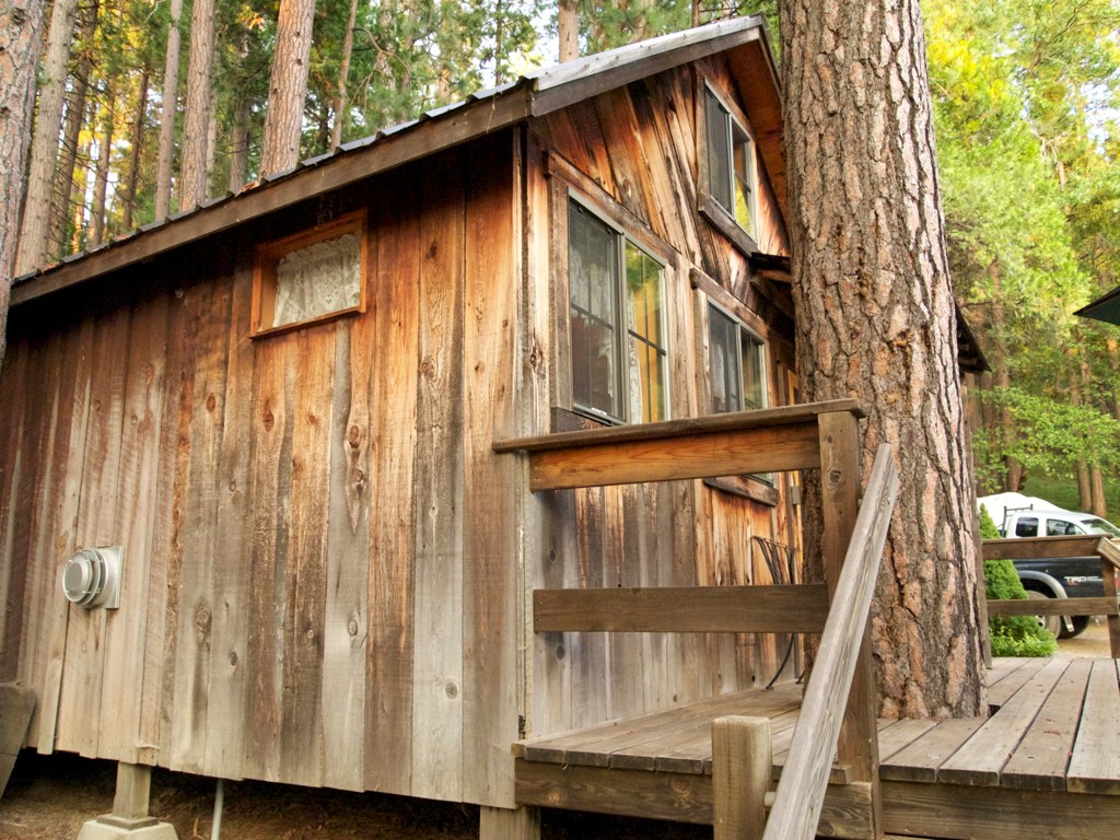 a small cabin near a tree and steps