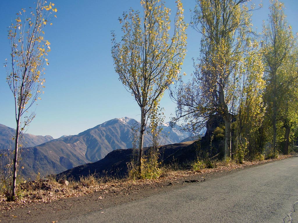 the road in front of trees with mountains and sky