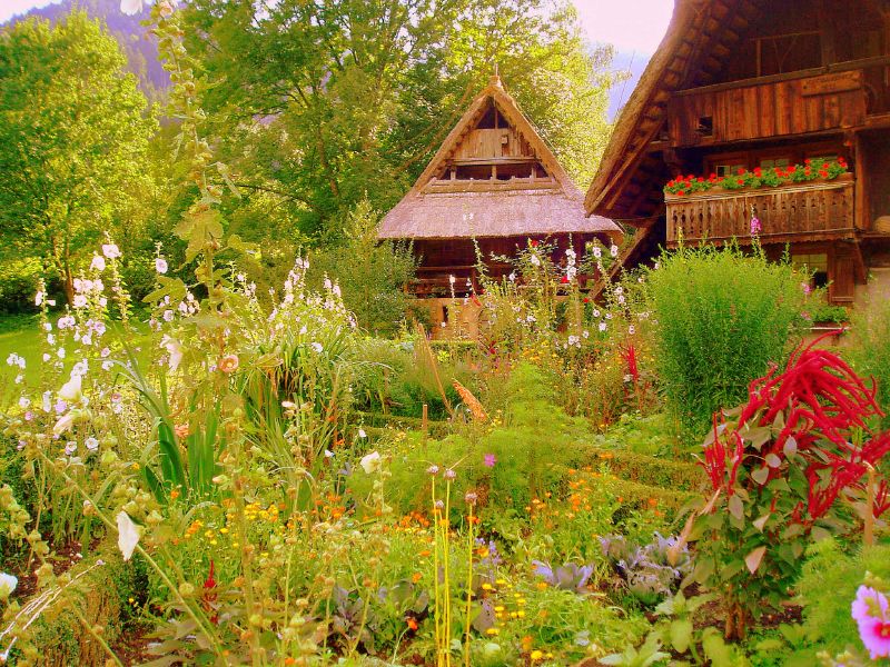 a garden with lots of flowers and some house