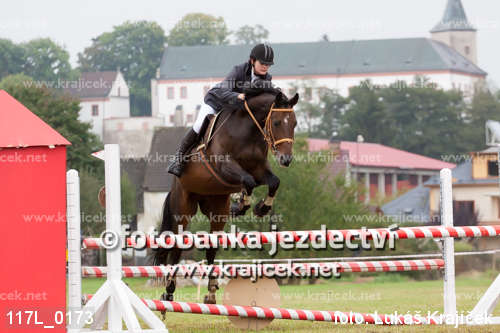 a rider on a horse doing an obstacle