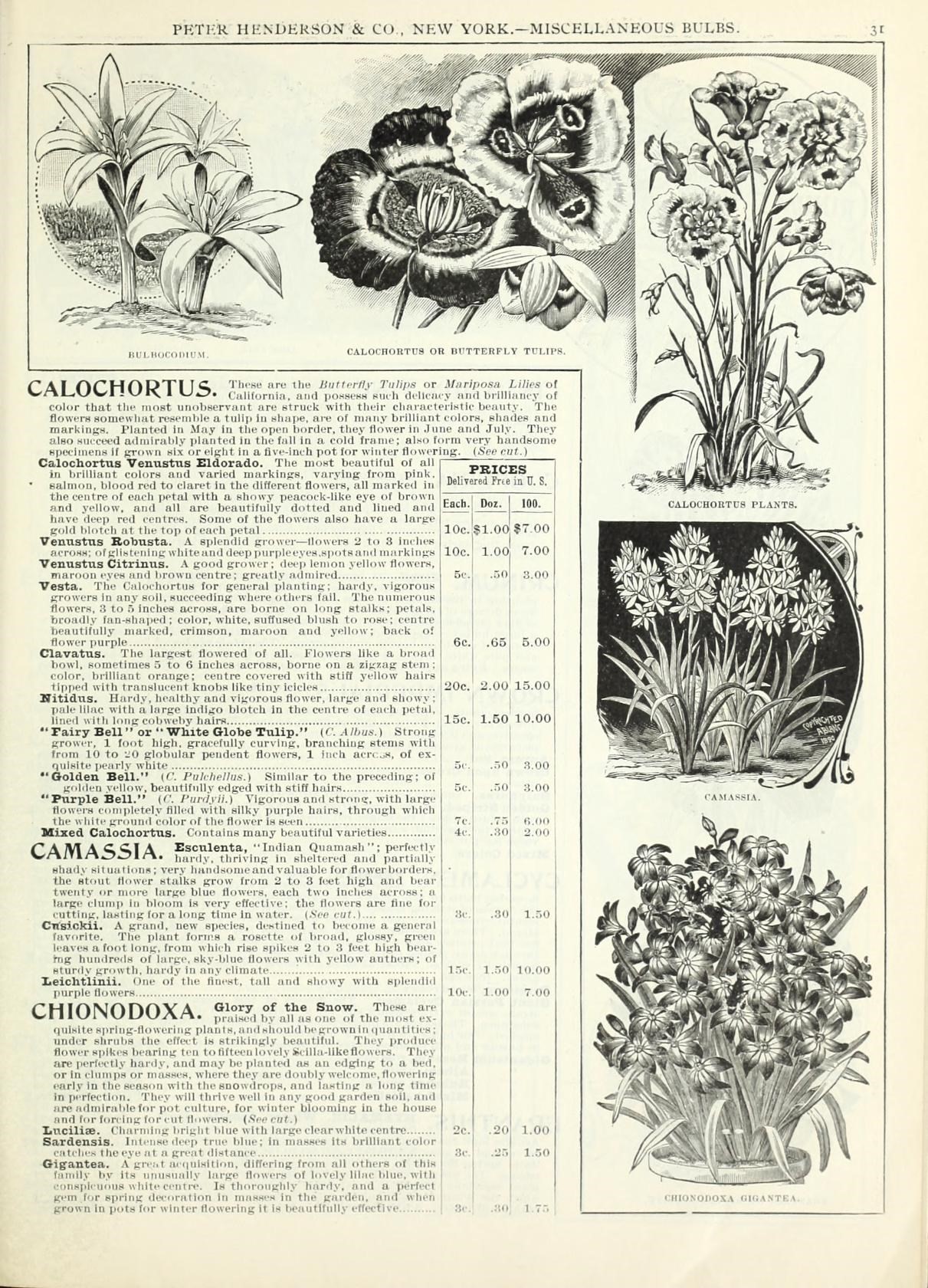 an old book with pictures of plants and flowers